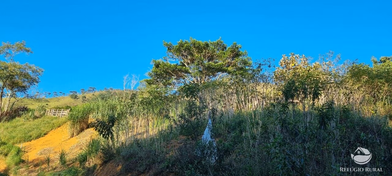 Small farm of 52 acres in São José dos Campos, SP, Brazil