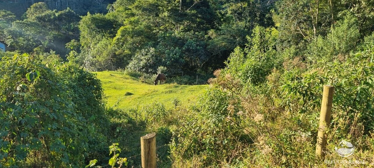 Small farm of 52 acres in São José dos Campos, SP, Brazil
