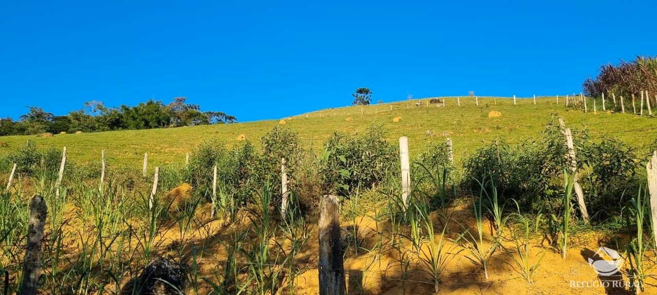 Small farm of 52 acres in São José dos Campos, SP, Brazil