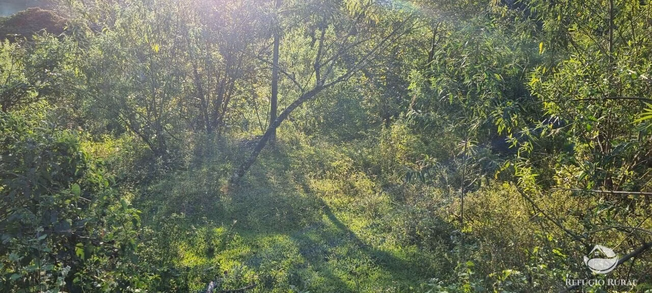 Small farm of 52 acres in São José dos Campos, SP, Brazil
