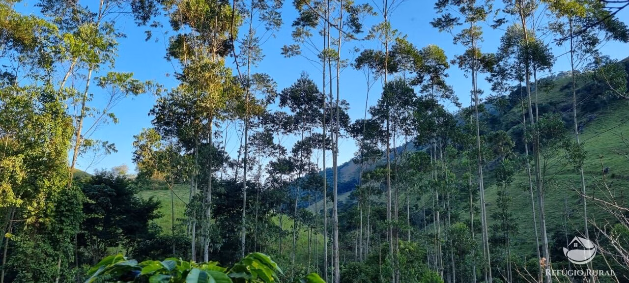 Small farm of 52 acres in São José dos Campos, SP, Brazil