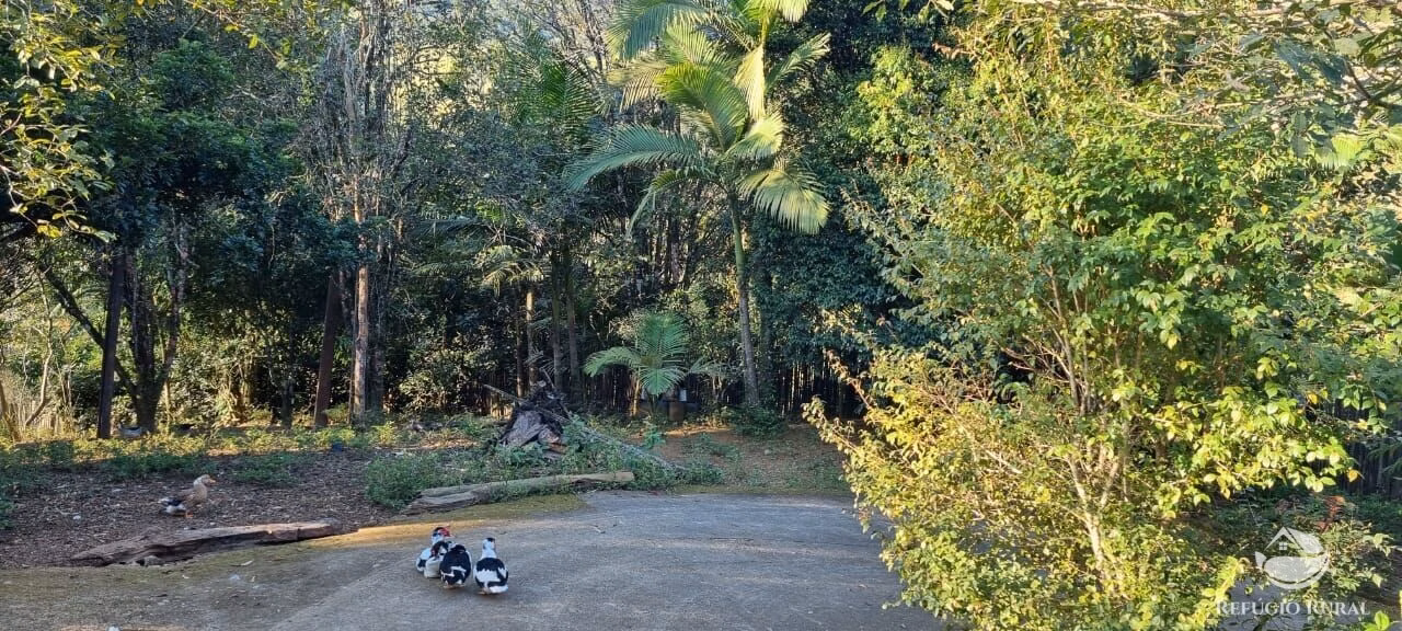 Small farm of 52 acres in São José dos Campos, SP, Brazil