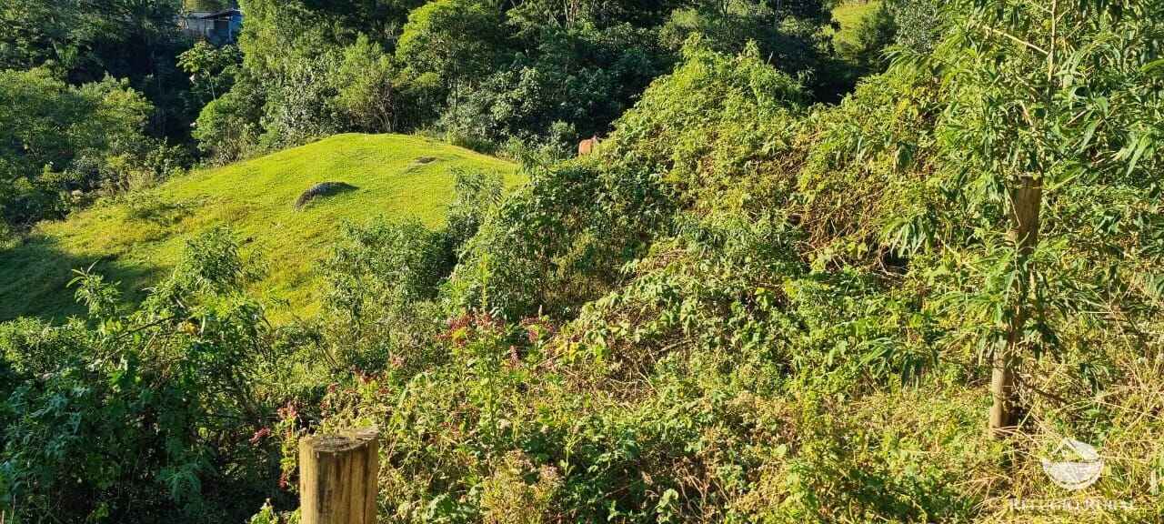 Small farm of 52 acres in São José dos Campos, SP, Brazil