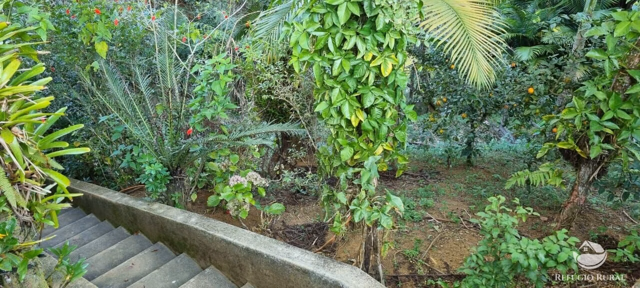 Small farm of 52 acres in São José dos Campos, SP, Brazil