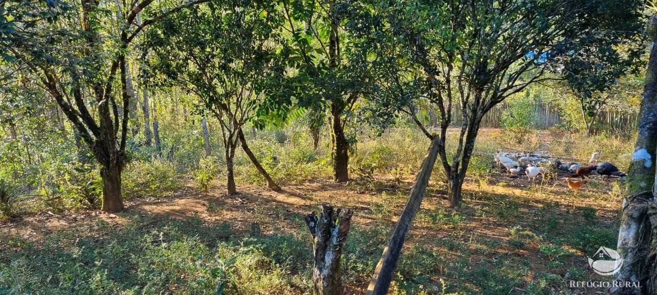 Small farm of 52 acres in São José dos Campos, SP, Brazil
