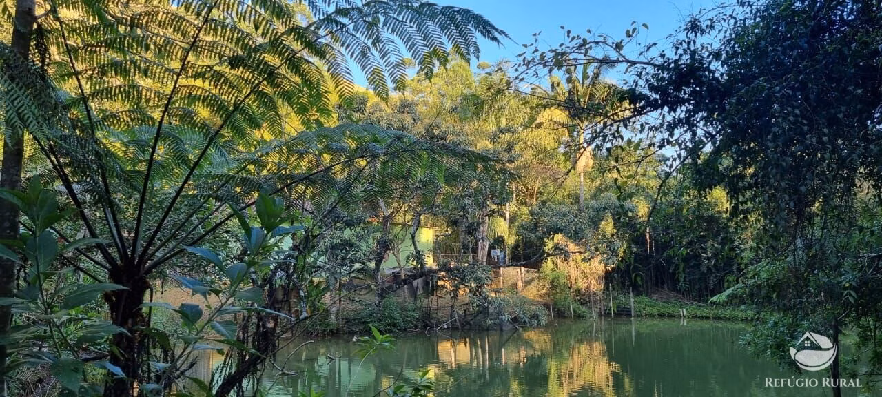 Small farm of 52 acres in São José dos Campos, SP, Brazil