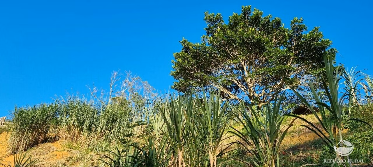 Small farm of 52 acres in São José dos Campos, SP, Brazil