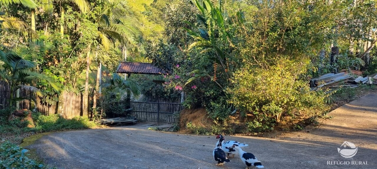 Small farm of 52 acres in São José dos Campos, SP, Brazil