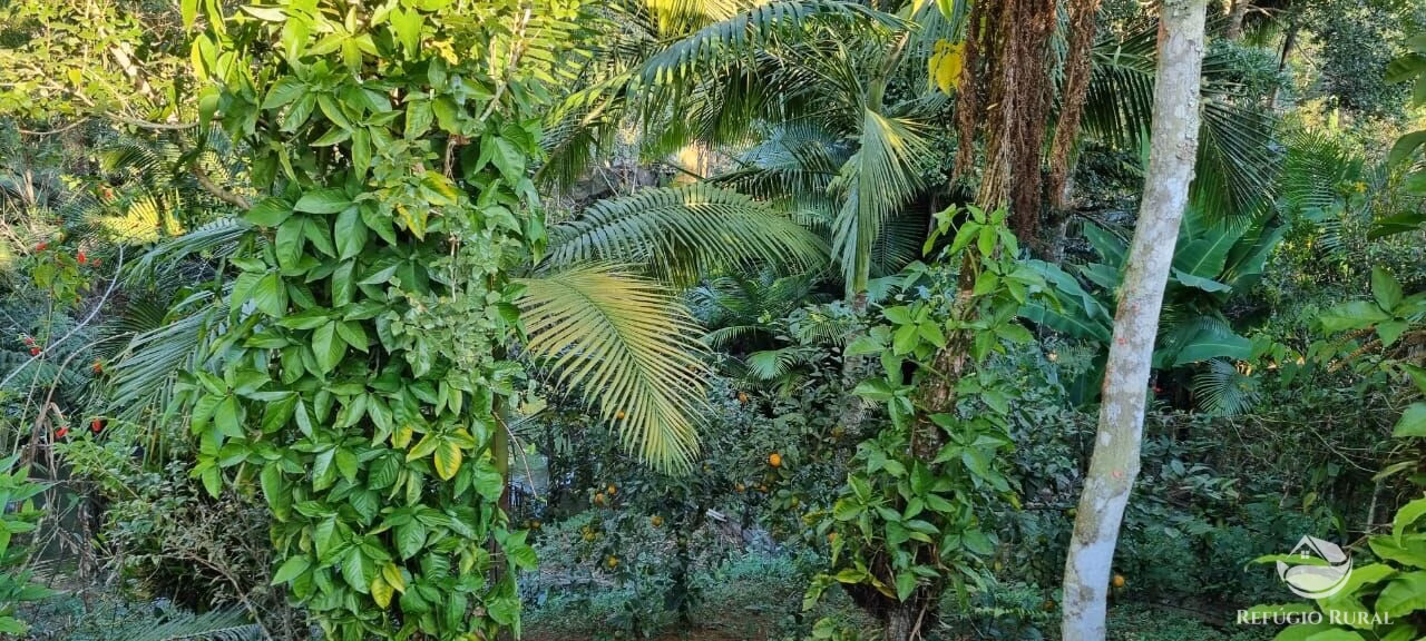 Small farm of 52 acres in São José dos Campos, SP, Brazil