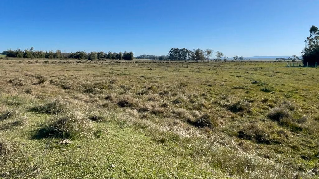 Sítio de 3 ha em Santo Antônio da Patrulha, RS