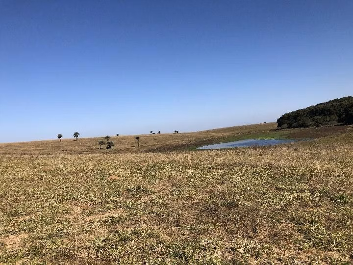 Sítio de 3 ha em Santo Antônio da Patrulha, RS