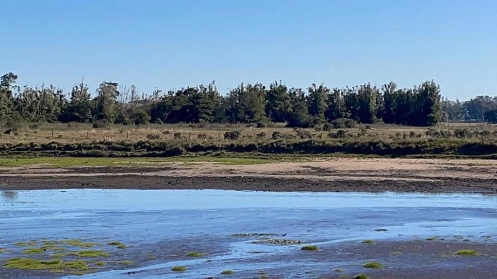 Sítio de 3 ha em Santo Antônio da Patrulha, RS