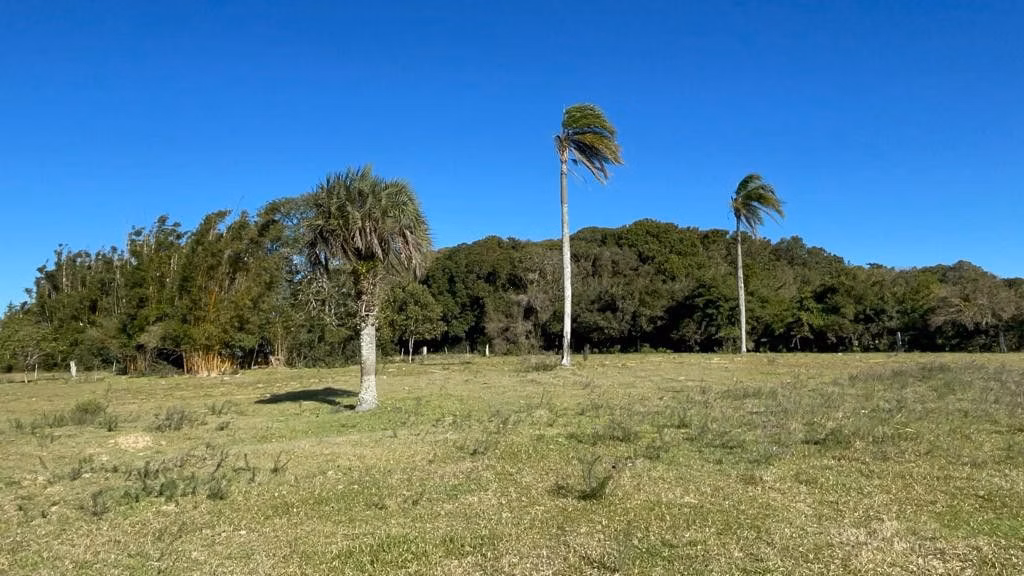 Sítio de 3 ha em Santo Antônio da Patrulha, RS