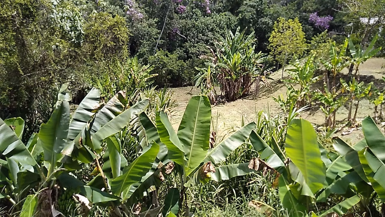 Chácara de 1,400 m² em São Luiz do Paraitinga, SP