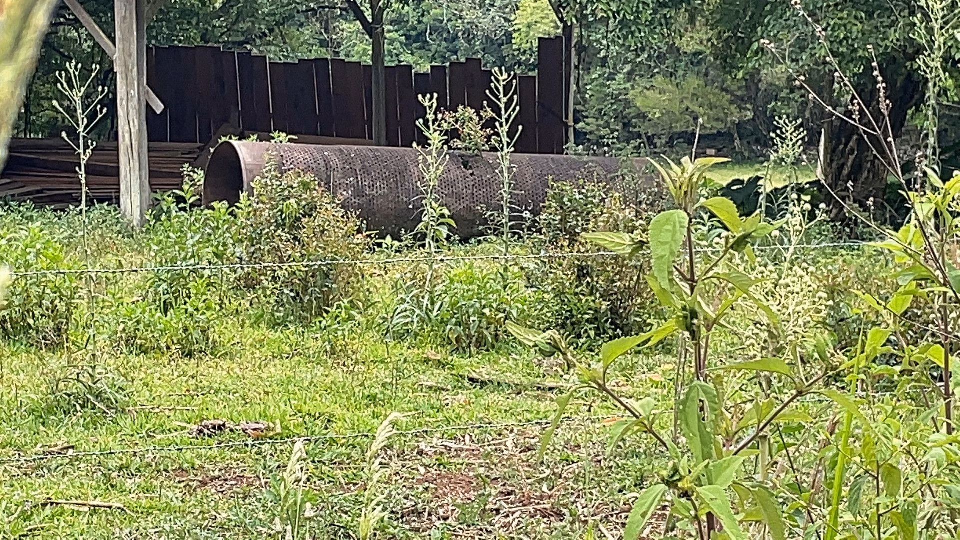 Sítio de 27 ha em Rolante, RS