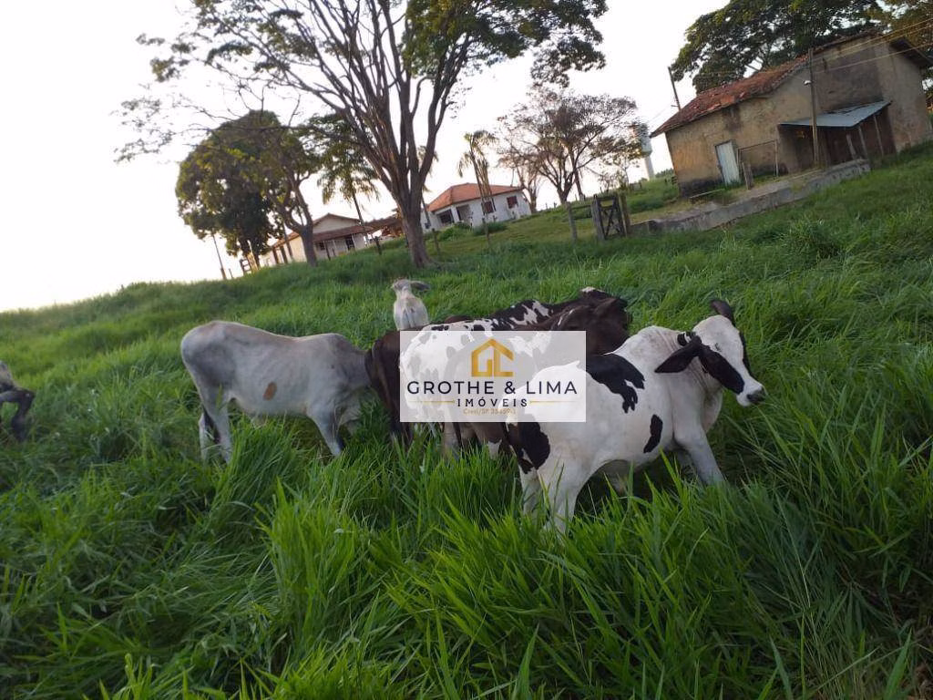 Sítio de 35 ha em Piracicaba, SP