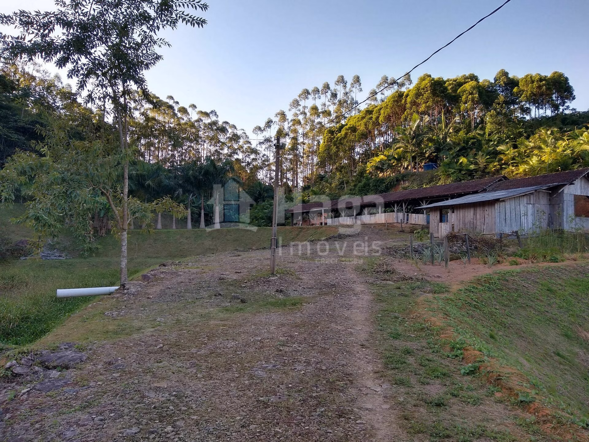 Chácara de 4 ha em Massaranduba, SC