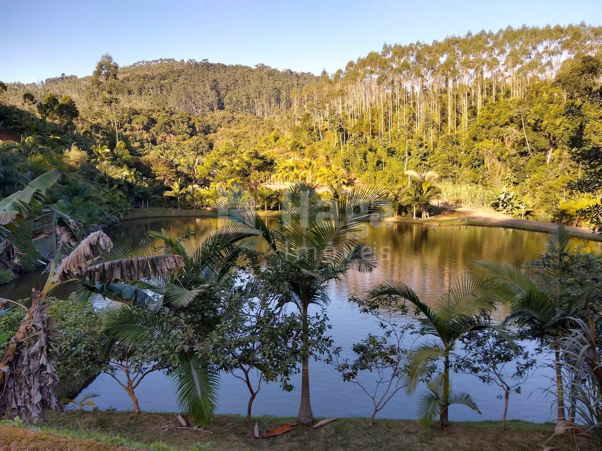 Chácara de 4 ha em Massaranduba, SC