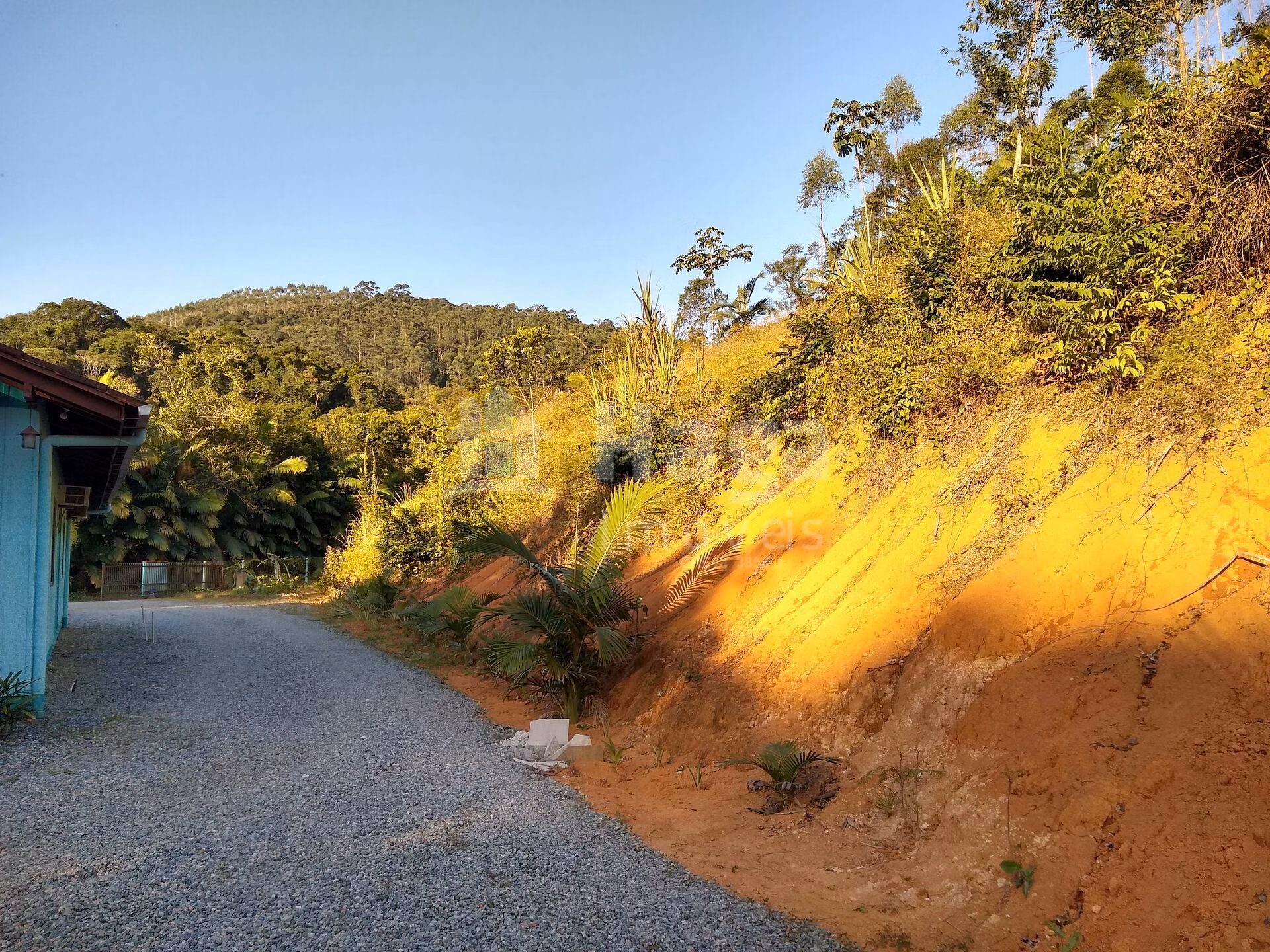 Chácara de 4 ha em Massaranduba, SC