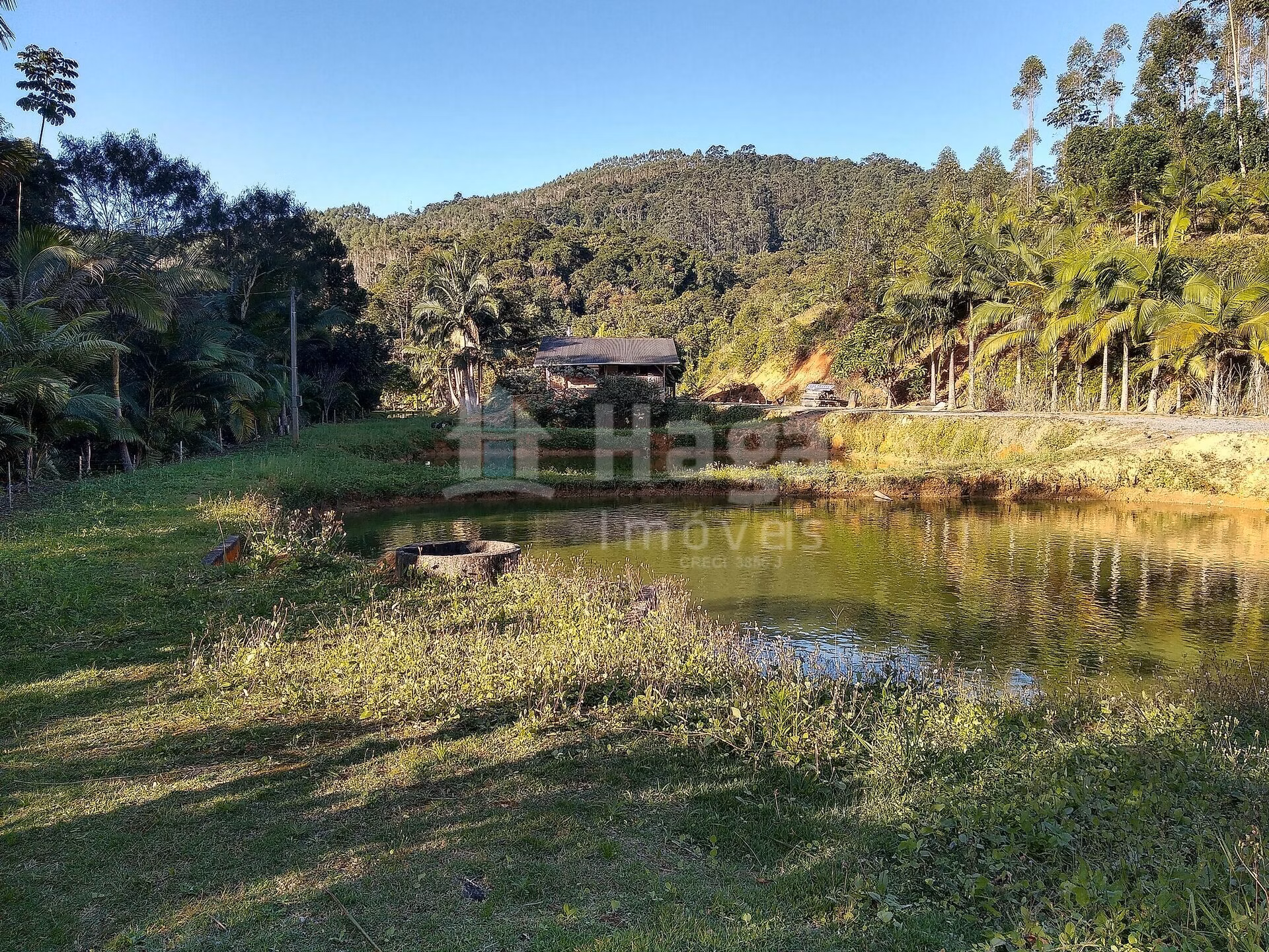 Chácara de 4 ha em Massaranduba, SC