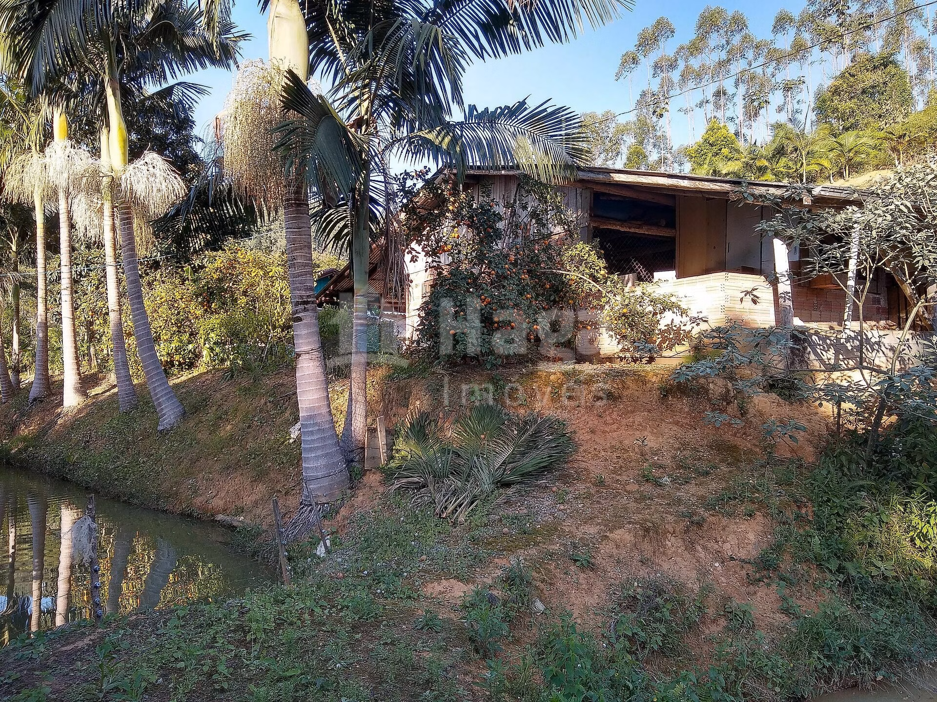 Chácara de 4 ha em Massaranduba, SC