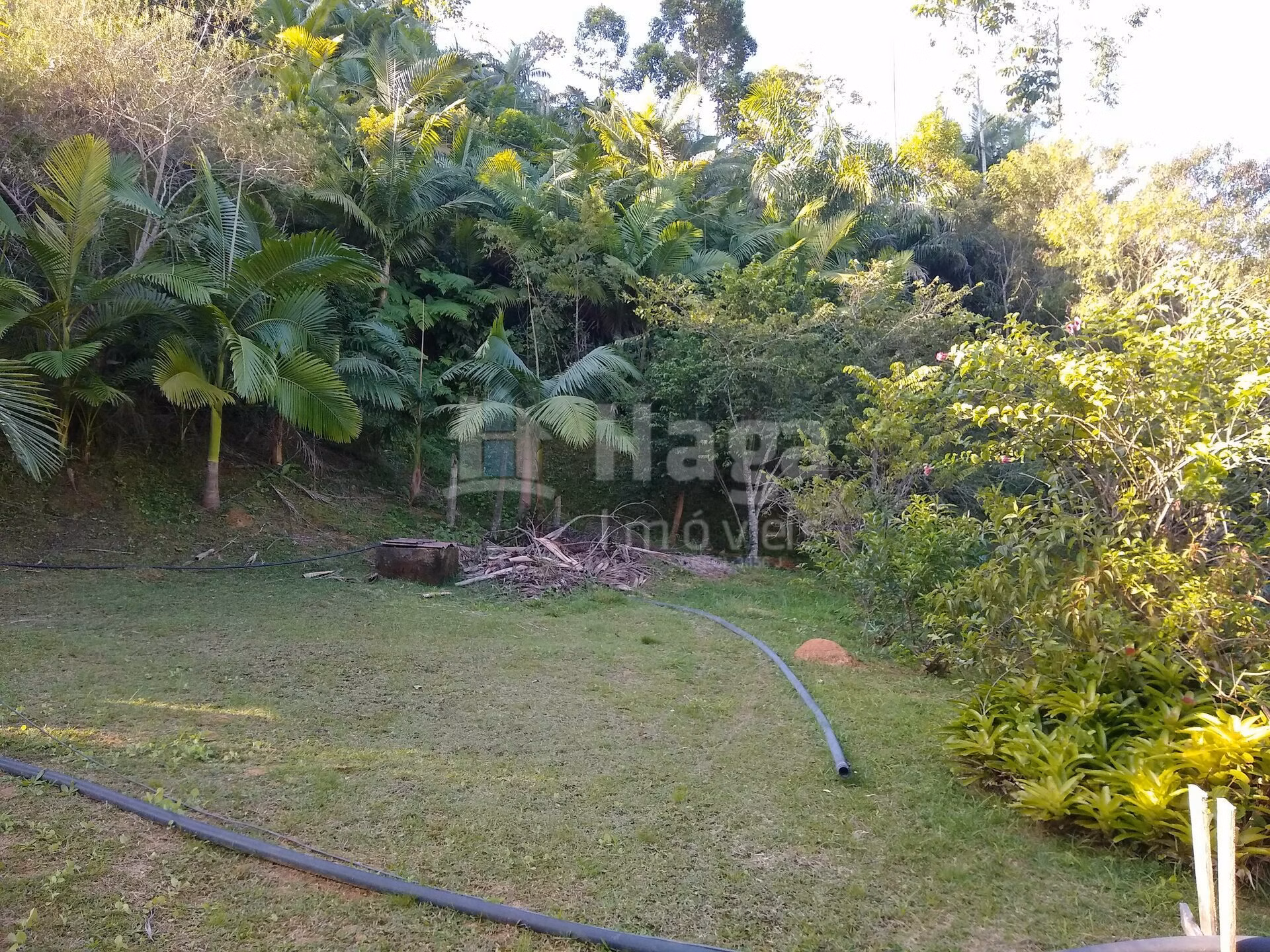 Chácara de 4 ha em Massaranduba, SC