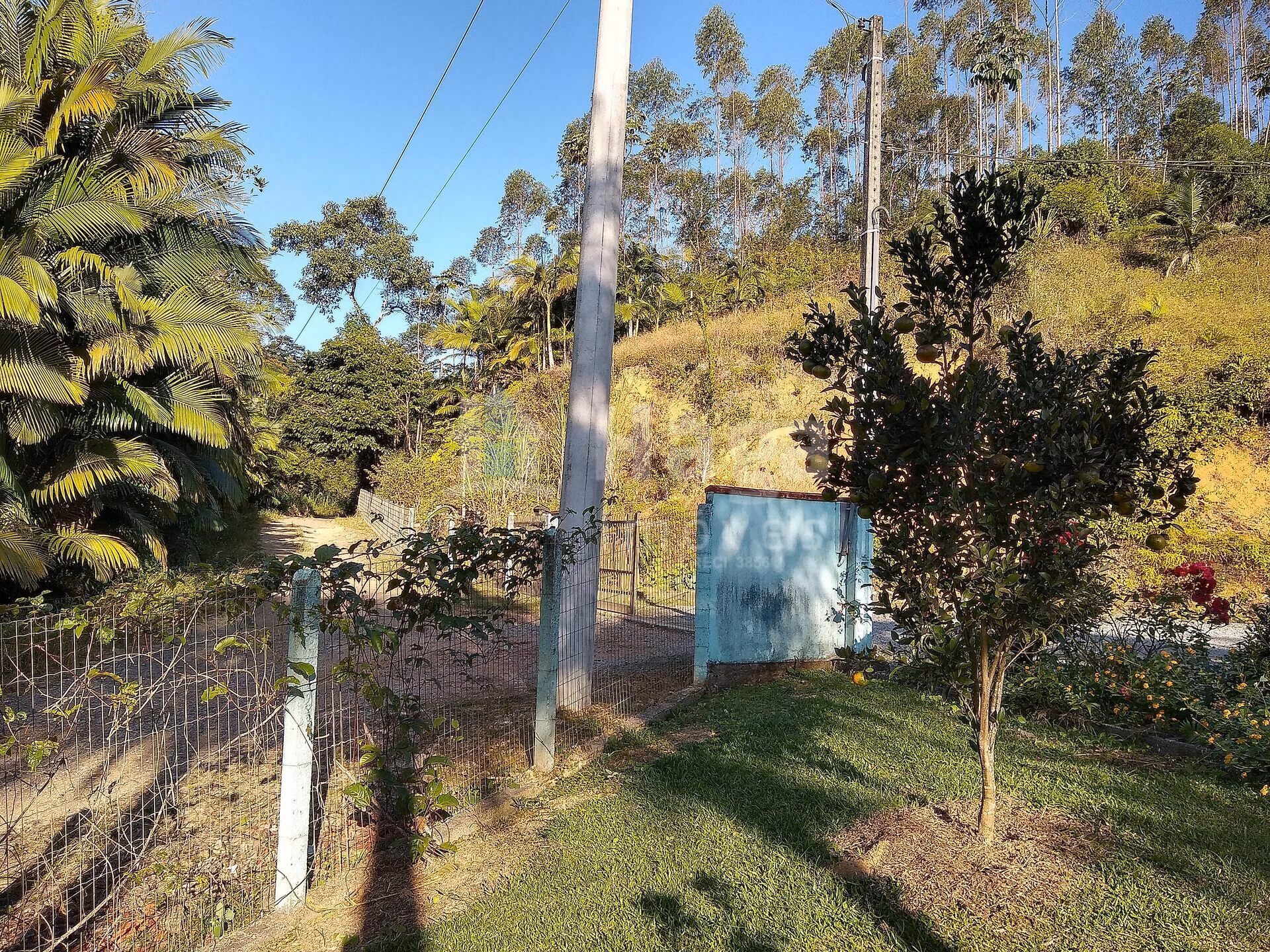 Chácara de 4 ha em Massaranduba, SC