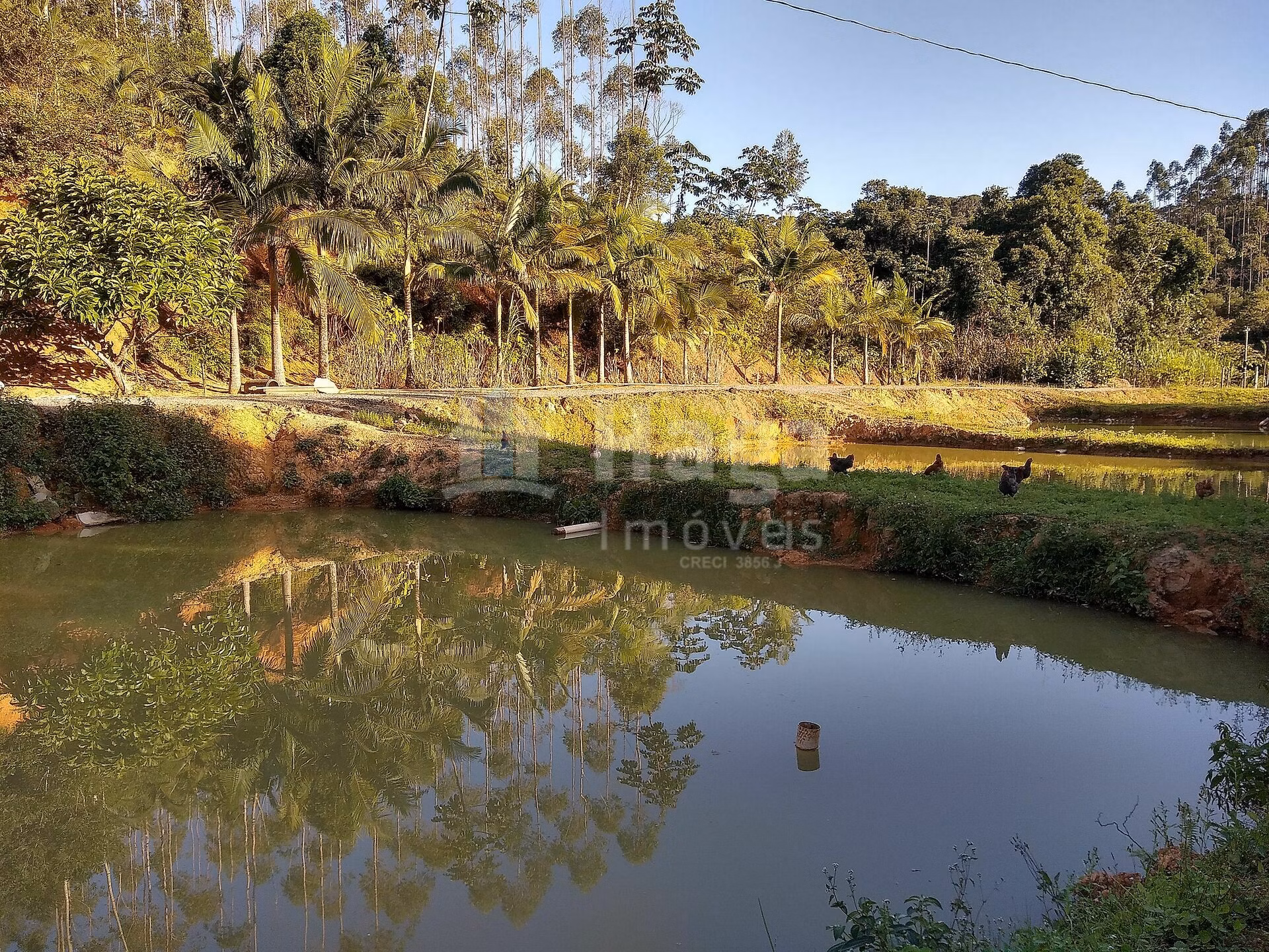 Chácara de 4 ha em Massaranduba, SC