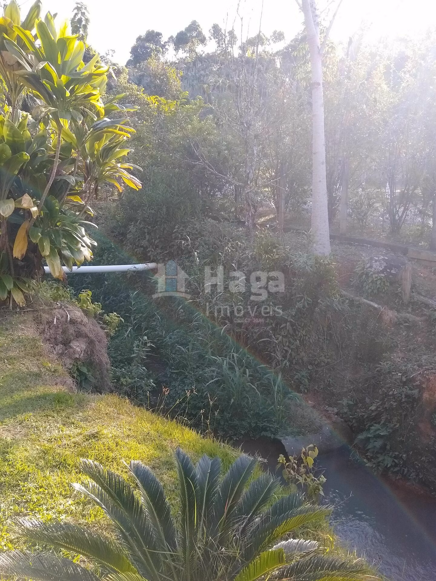 Chácara de 4 ha em Massaranduba, SC
