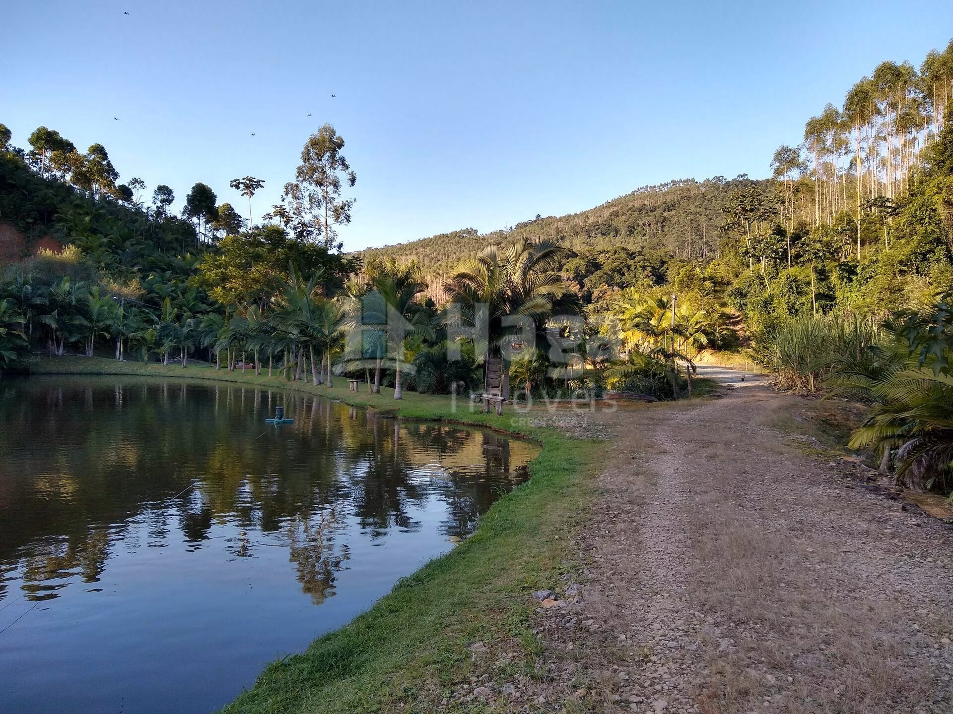Chácara de 4 ha em Massaranduba, SC