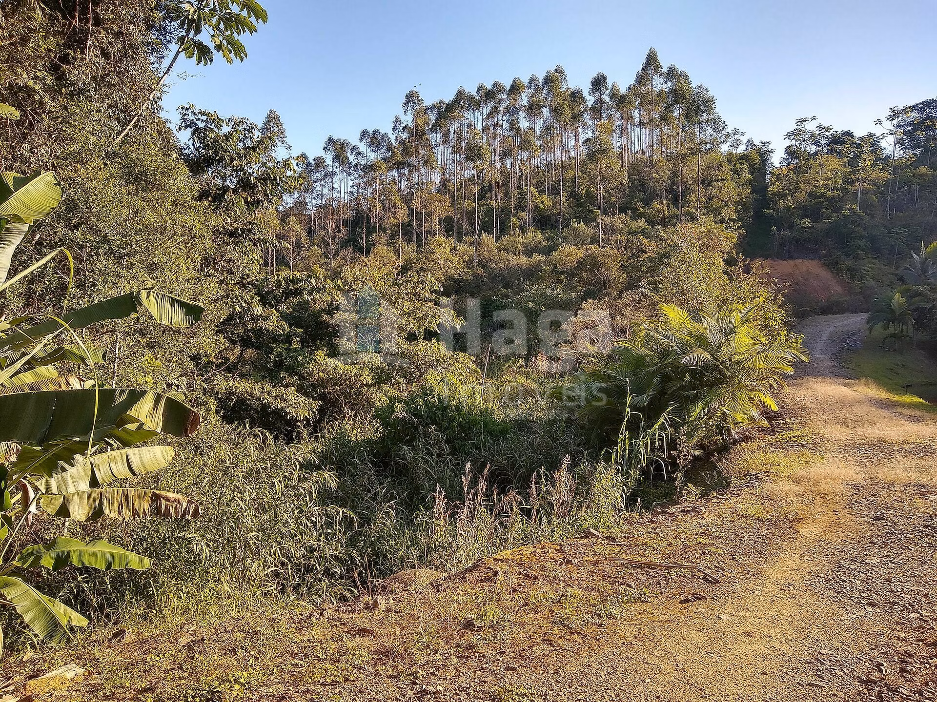 Chácara de 4 ha em Massaranduba, SC