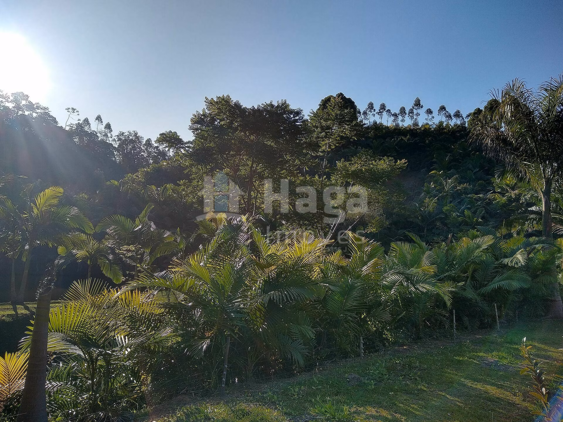 Chácara de 4 ha em Massaranduba, SC