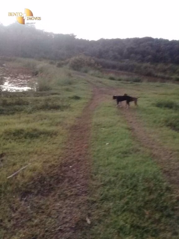 Sítio de 45 ha em Acorizal, MT