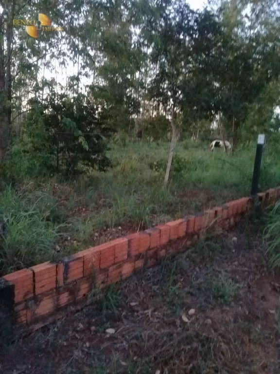 Sítio de 45 ha em Acorizal, MT