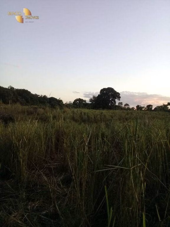 Sítio de 45 ha em Acorizal, MT