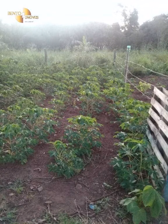Sítio de 45 ha em Acorizal, MT