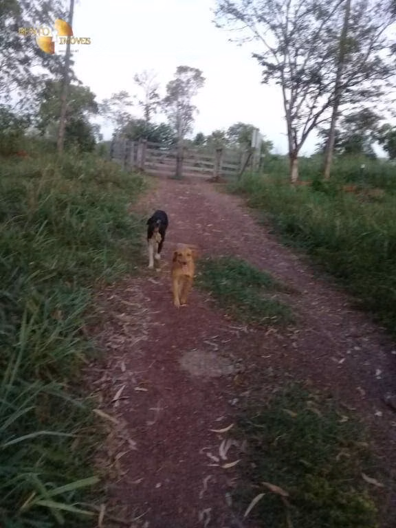 Sítio de 45 ha em Acorizal, MT
