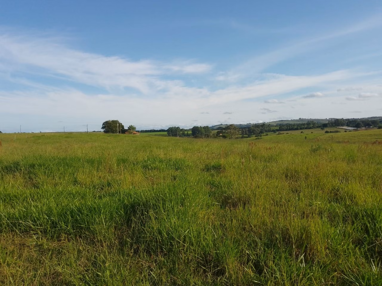 Sítio de 40 ha em Itapetininga, SP