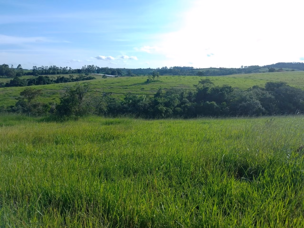Sítio de 40 ha em Itapetininga, SP