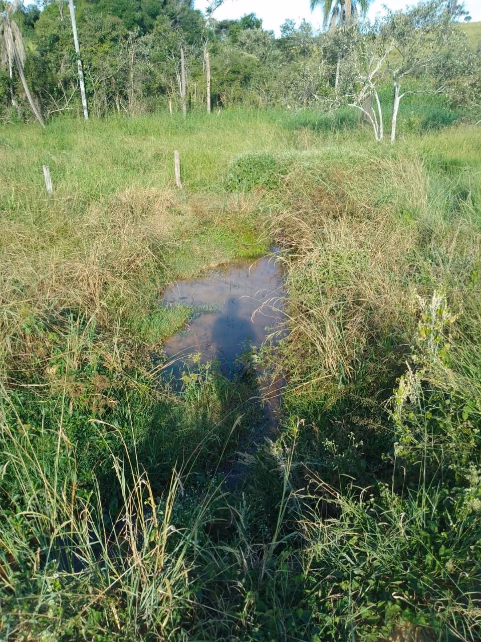 Sítio de 40 ha em Itapetininga, SP