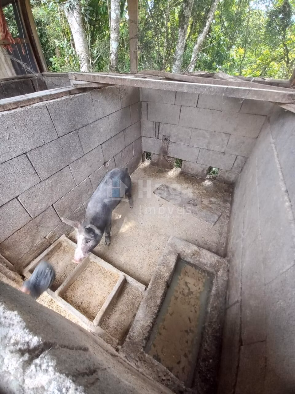 Chácara de 1 ha em Major Gercino, SC