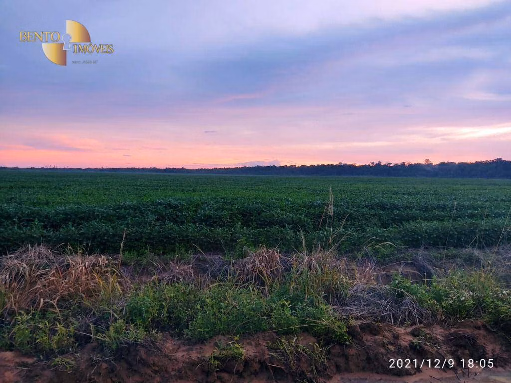 Fazenda de 1.000 ha em Lucas do Rio Verde, MT