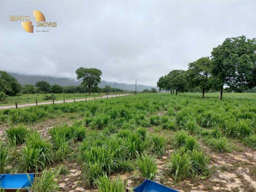 Fazenda de 1.250 ha em Cáceres, MT