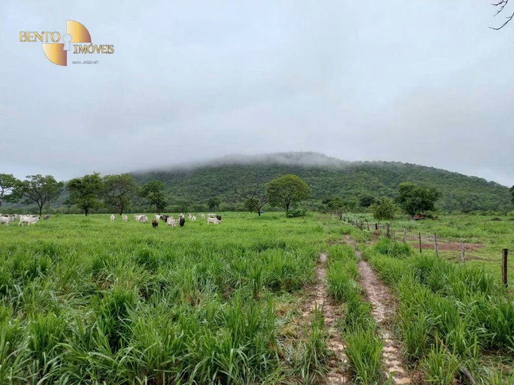 Fazenda de 1.250 ha em Cáceres, MT