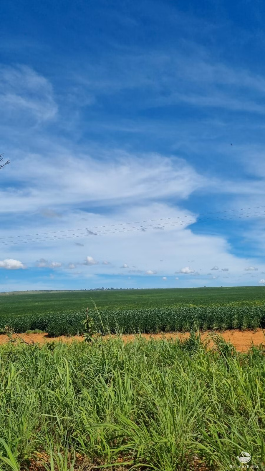 Fazenda de 1.738 ha em Cristalina, GO