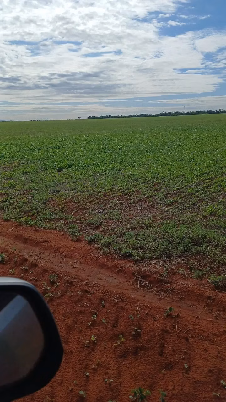 Fazenda à venda de 16.000 ha em Capitán Bado, Paraguai
