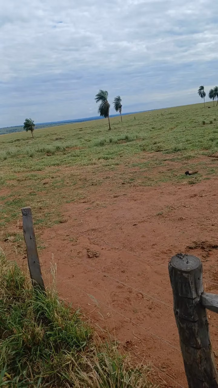 Fazenda à venda de 16.000 ha em Capitán Bado, Paraguai