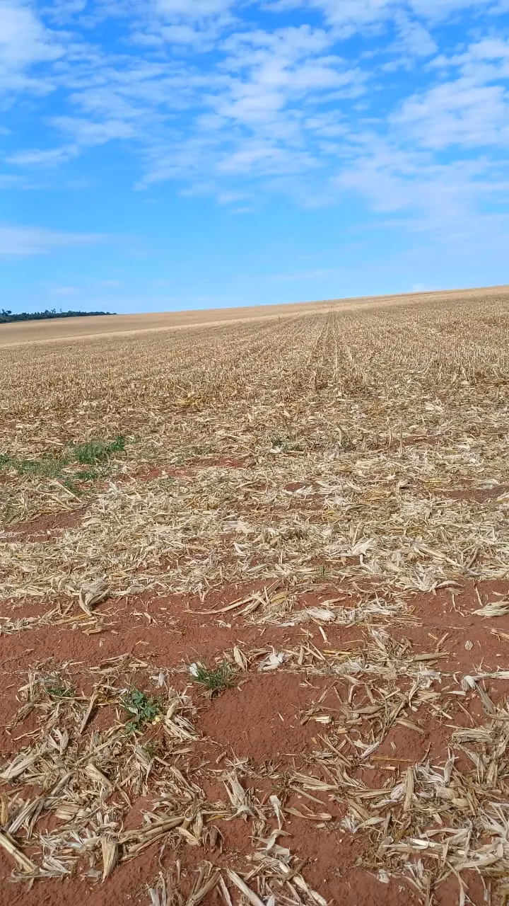 Fazenda à venda de 16.000 ha em Capitán Bado, Paraguai