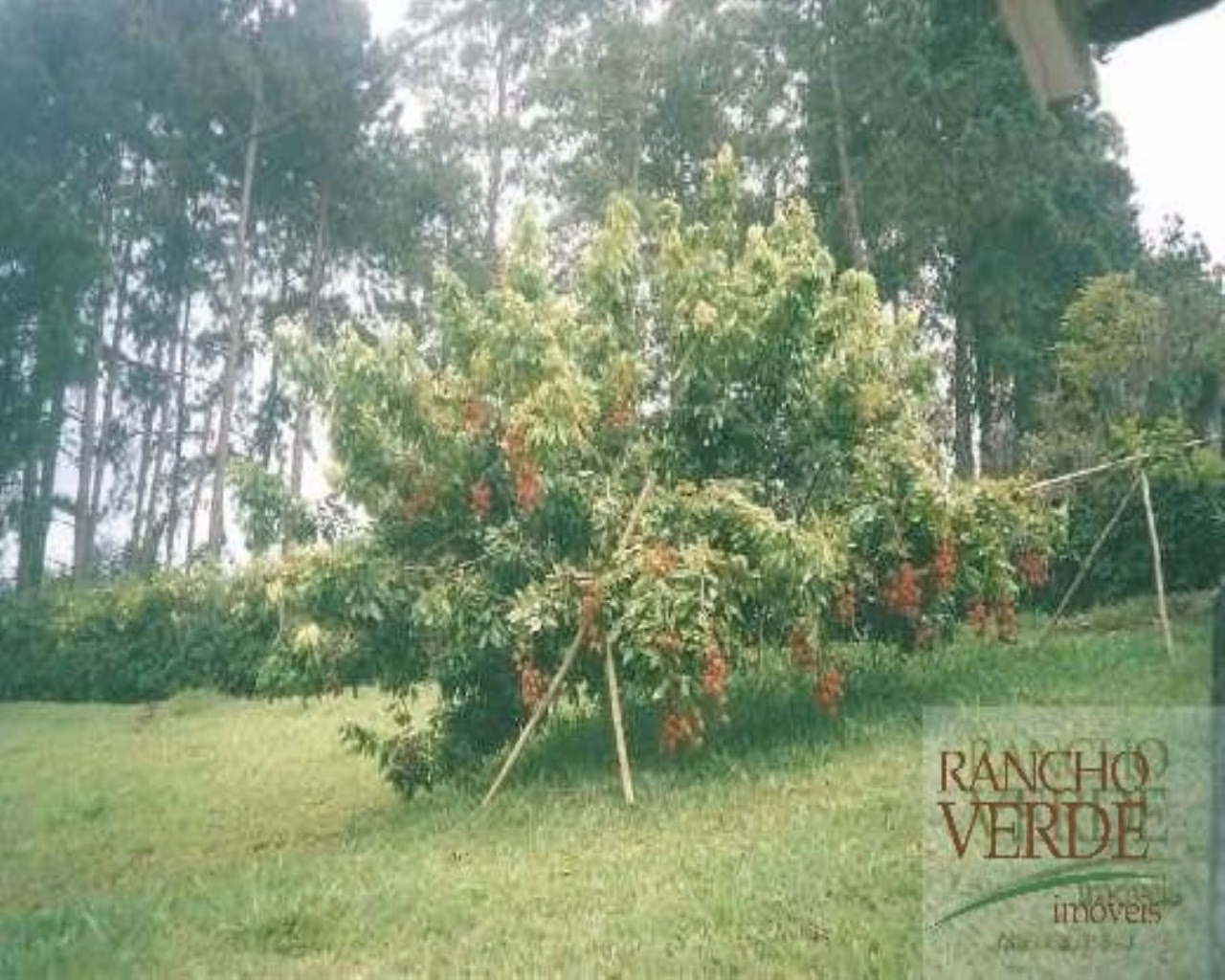 Country home of 3 acres in Caçapava, SP, Brazil