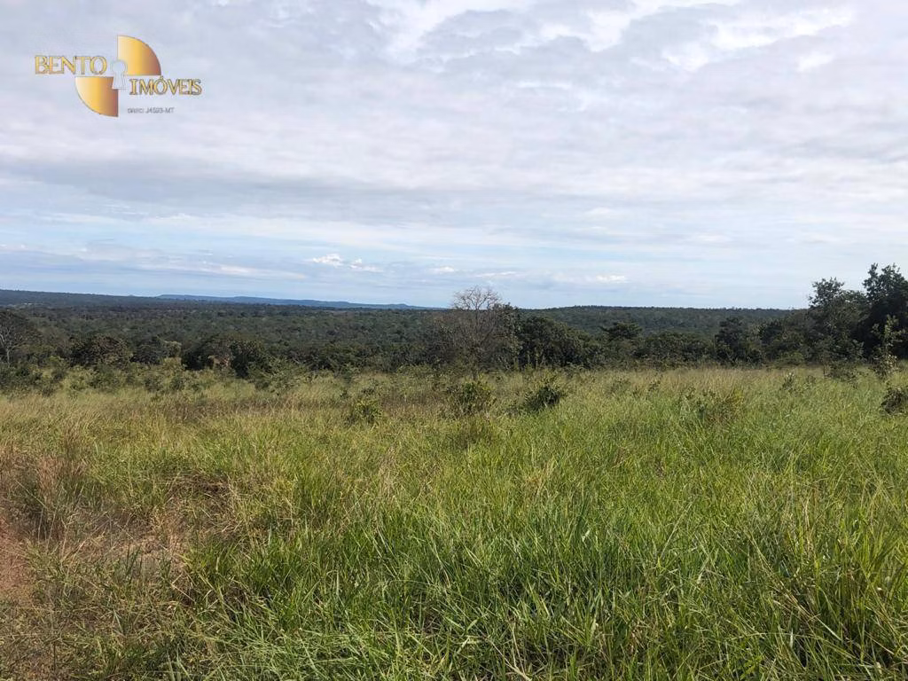 Fazenda de 645 ha em Barra do Garças, MT